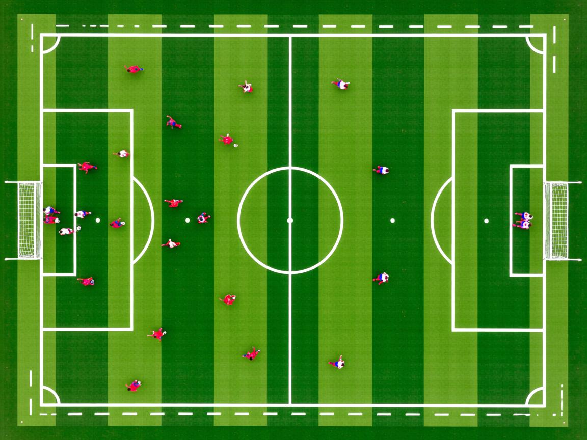 九游娱乐app-教练团队集体学习国际案例提升教学理念，教练技术应用的案例  第3张
