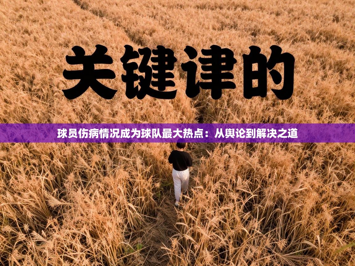球员伤病情况成为球队最大热点：从舆论到解决之道  第2张